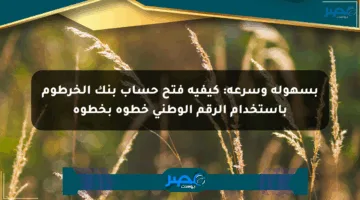 بسهولة وسرعة: كيفية فتح حساب بنك الخرطوم باستخدام الرقم الوطني خطوة بخطوة